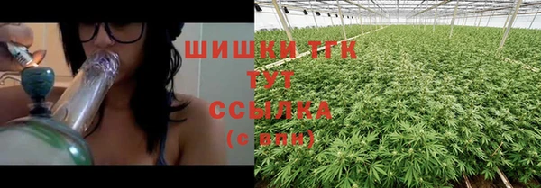 гидра Алзамай
